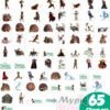 Disney Raya and the last dragon clipart and Digital Paper - Instant Download - Image 3